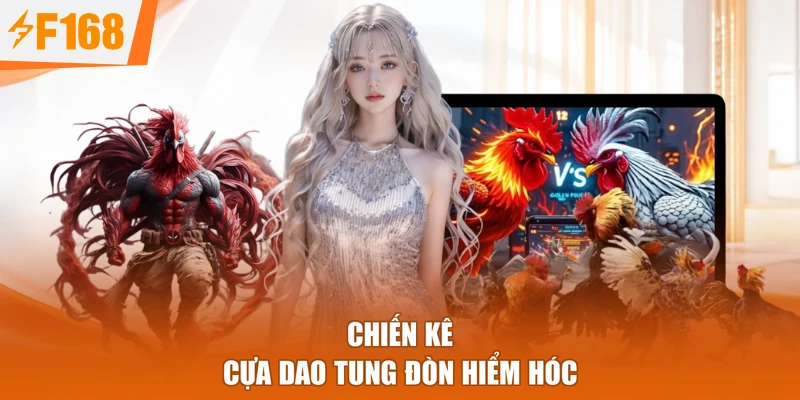Chiến kê cựa dao tung đòn hiểm hóc