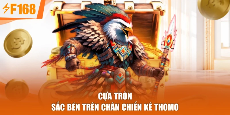 Cựa tròn sắc bén trên chân chiến kê thomo