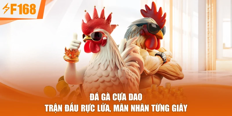 Đá Gà Cựa Dao - Trận Đấu Rực Lửa, Mãn Nhãn Từng Giây