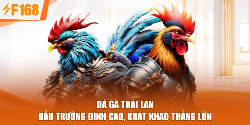 Đá Gà Thái Lan - Đấu Trường Đỉnh Cao, Khát Khao Thắng Lớn