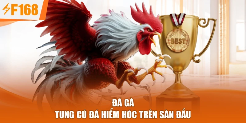 Đá Gà tung cú đá hiểm hóc trên sàn đấu