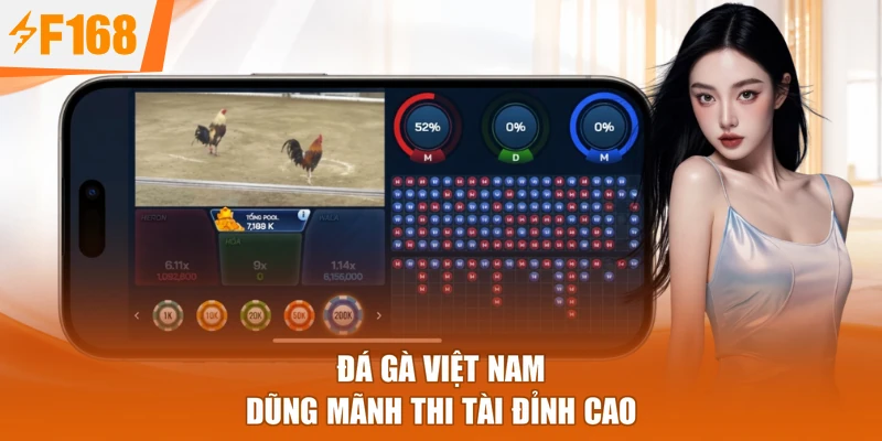 Đá gà Việt Nam dũng mãnh thi tài đỉnh cao