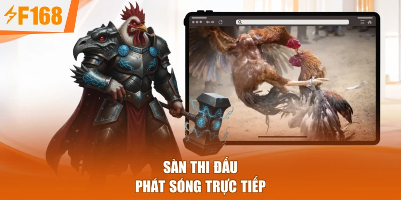 Sàn thi đấu phát sóng trực tiếp